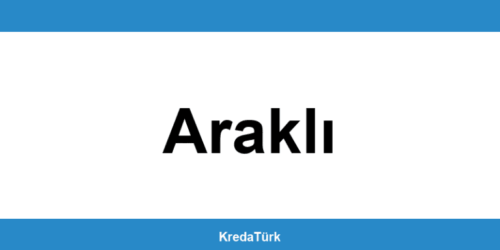 Yapı Kredi Araklı şubesiyle iletişime geçin