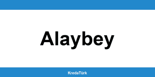 Yapı Kredi Alaybey şubesiyle iletişime geçin